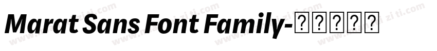 Marat Sans Font Family字体转换